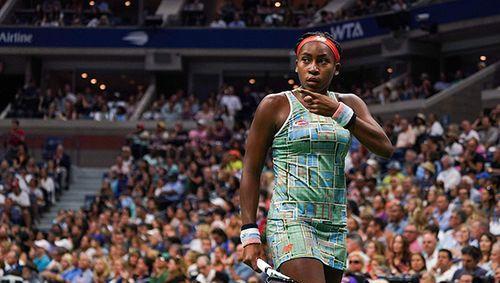 森林狼的成 森林狼的成